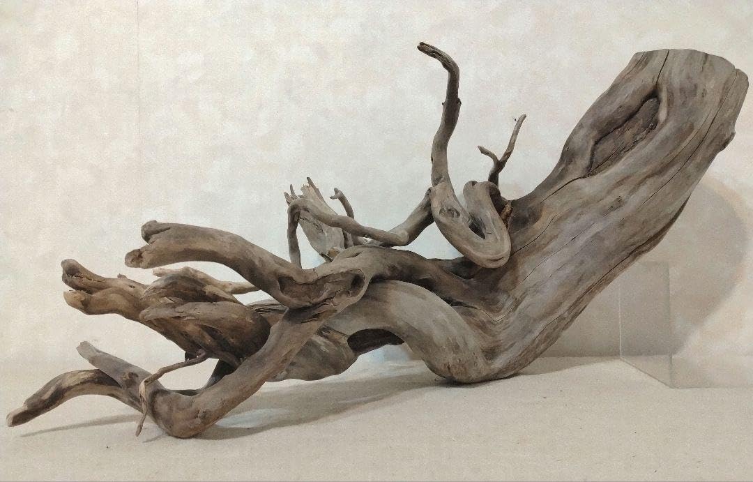 希少】アクアリウム・DIY向け 特大サイズ塊根ブランチウッド流木（約